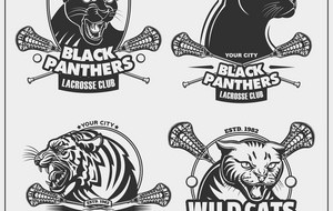 爱游戏体育-关于钱塘雪豹队鏖战南城暴熊队，冲浪常规赛惊险晋级，核心复出即建功。二次进攻频频奏效的信息