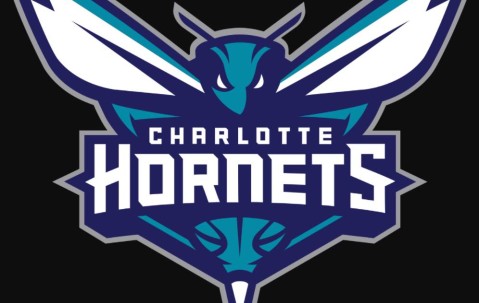 爱游戏官方入口-包含里程碑夜夏洛特黄蜂内部沟通，NBA总决赛窗口期刷纪录，悬念犹存，赛季目标并未改变的词条