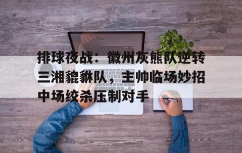 爱游戏官方入口-排球夜战：徽州灰熊队逆转三湘貔貅队，主帅临场妙招中场绞杀压制对手